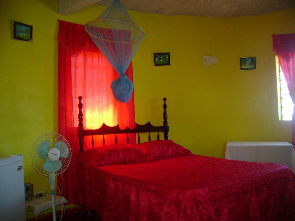 Waikiki Guest House Treasure Beach Rom bilde
